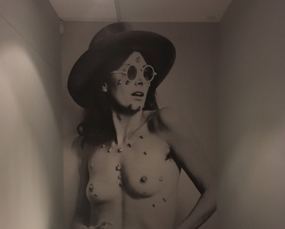Politics of the Female Nude