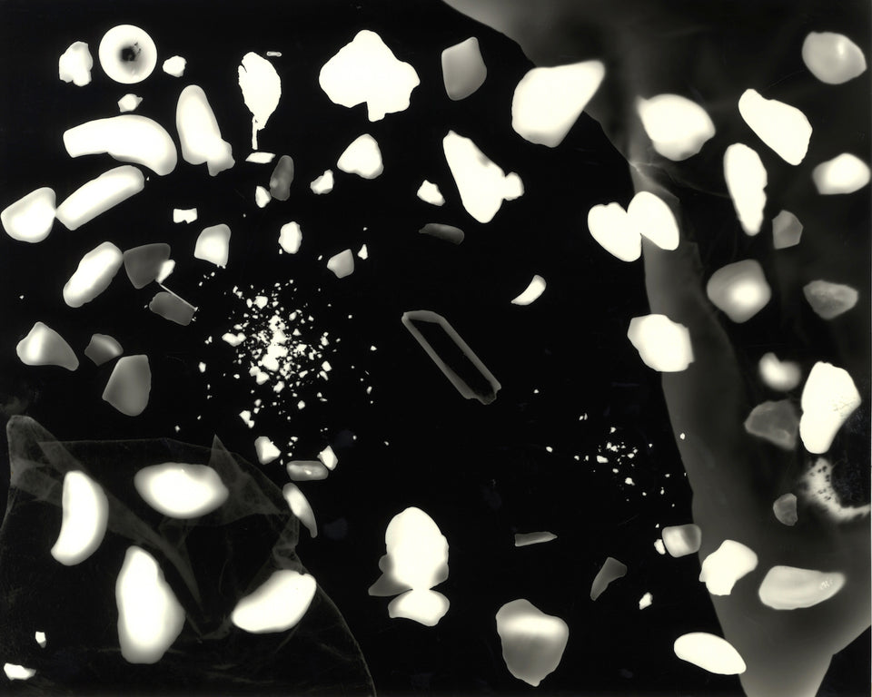 Quantum Ghost: Libita Clayton at Gasworks