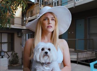 Under the Silver Lake