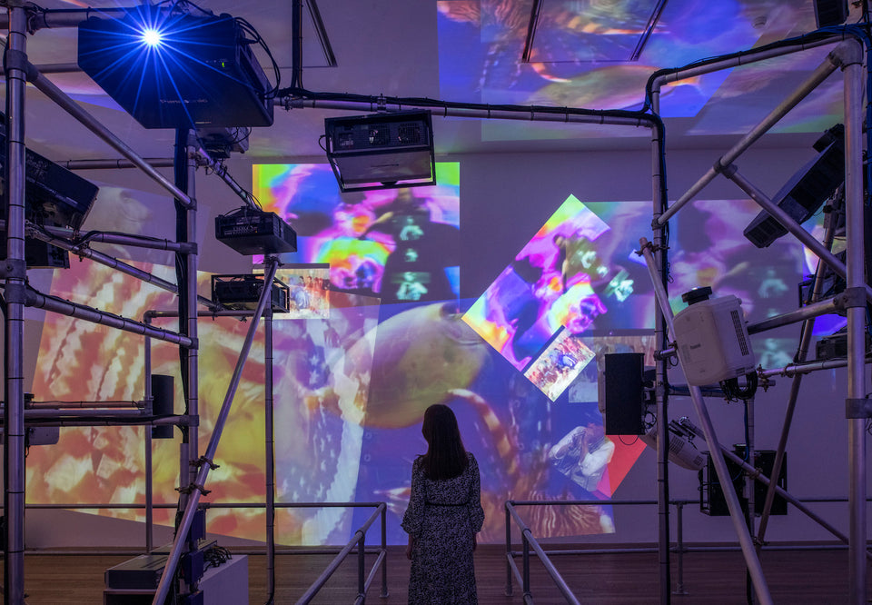 Meditations on Nam June Paik