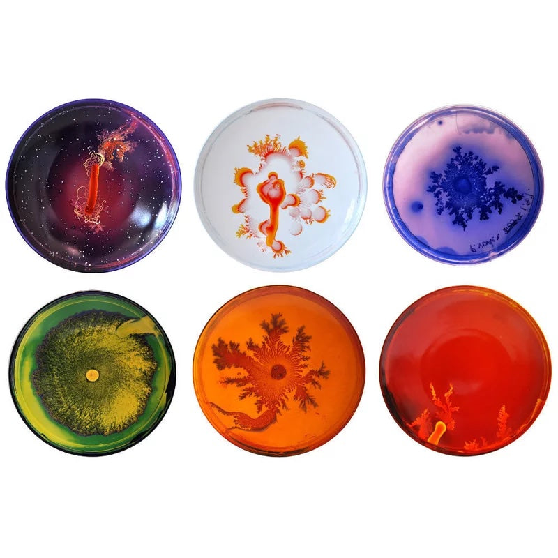 Petri Dishes