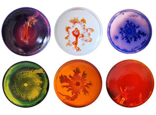 Petri Dishes